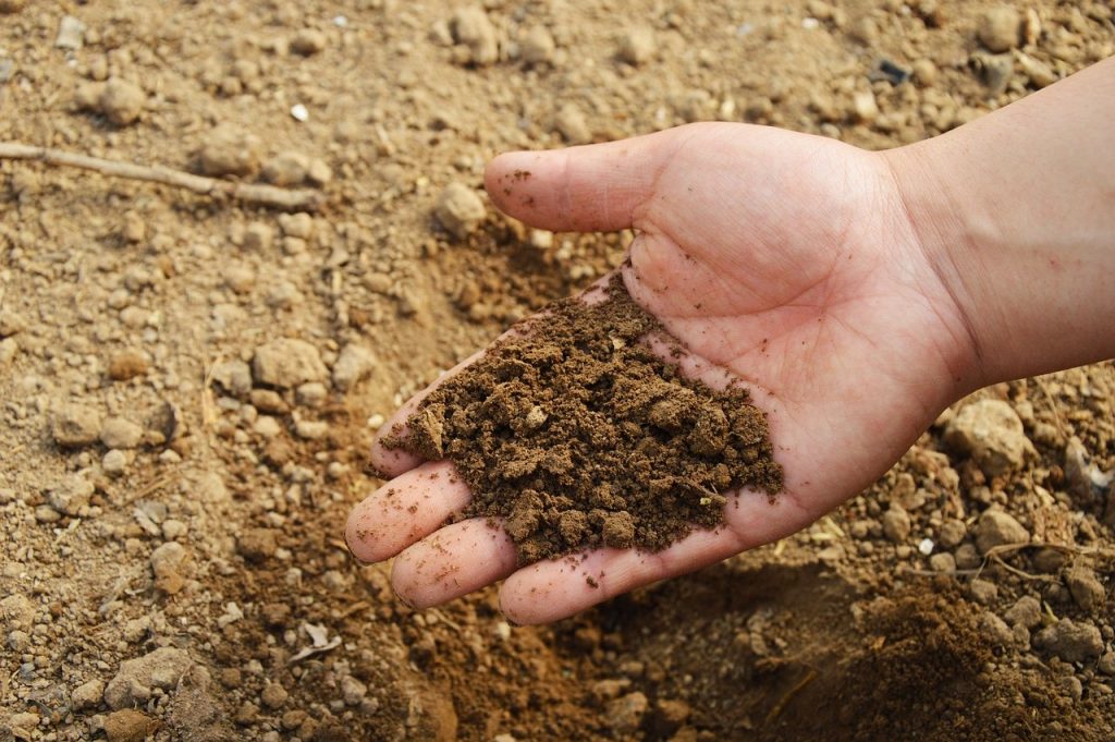 soil quality